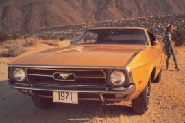 FORD Mustang 1971 None