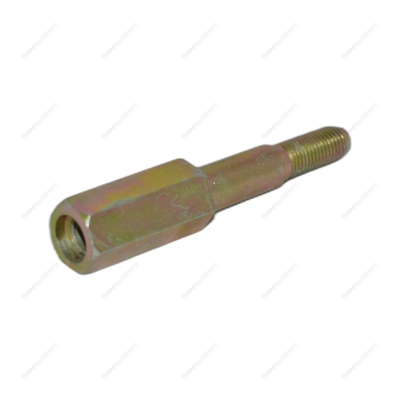 Shock Absorber Bolt