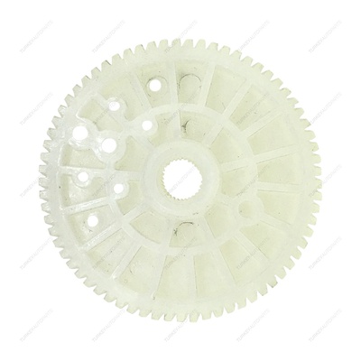 Motor Gear Internal